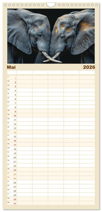 Liebenswerte Elefanten (CALVENDO Familienplaner 2026)