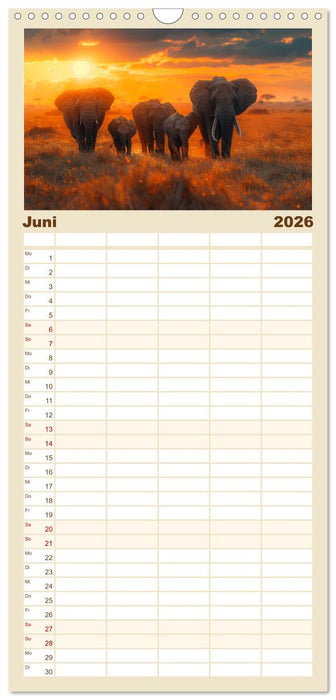 Liebenswerte Elefanten (CALVENDO Familienplaner 2026)