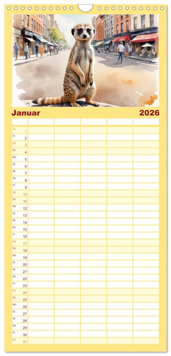 Erdmännchen in New York City (CALVENDO Familienplaner 2026)