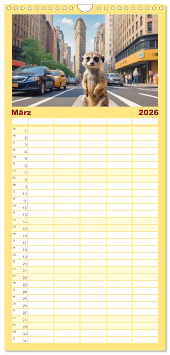 Erdmännchen in New York City (CALVENDO Familienplaner 2026)