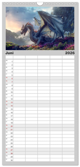 Das Jahr der Drachen (CALVENDO Familienplaner 2026)