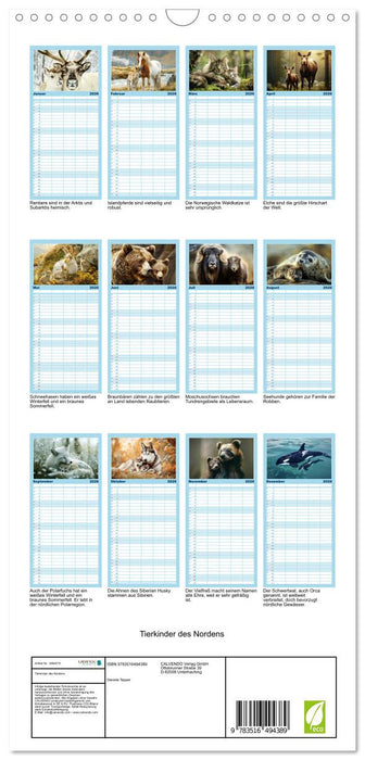Tierkinder des Nordens (CALVENDO Familienplaner 2026)