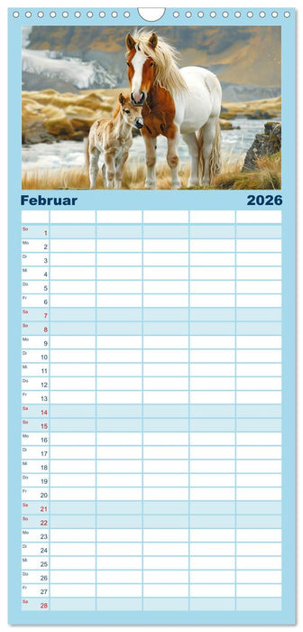 Tierkinder des Nordens (CALVENDO Familienplaner 2026)