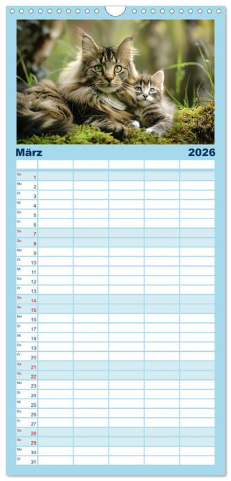 Tierkinder des Nordens (CALVENDO Familienplaner 2026)