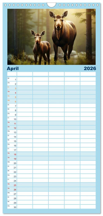 Tierkinder des Nordens (CALVENDO Familienplaner 2026)