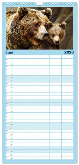 Tierkinder des Nordens (CALVENDO Familienplaner 2026)