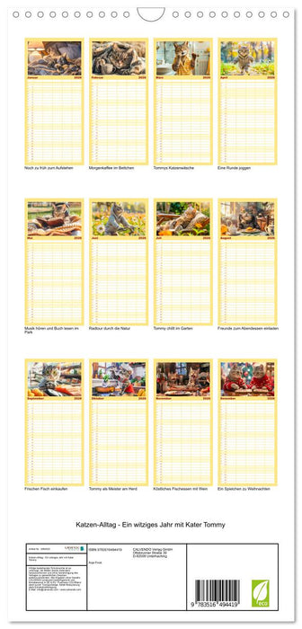 Katzen-Alltag - Ein witziges Jahr mit Kater Tommy (CALVENDO Familienplaner 2026)