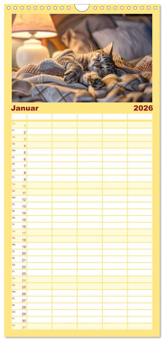 Katzen-Alltag - Ein witziges Jahr mit Kater Tommy (CALVENDO Familienplaner 2026)