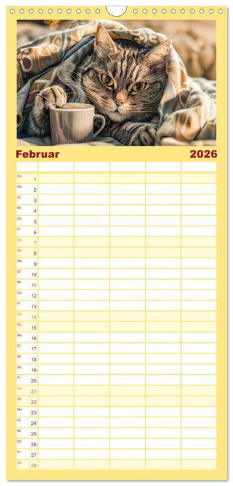 Katzen-Alltag - Ein witziges Jahr mit Kater Tommy (CALVENDO Familienplaner 2026)