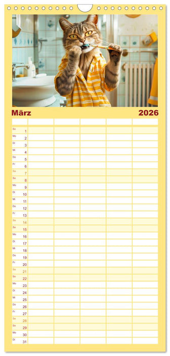 Katzen-Alltag - Ein witziges Jahr mit Kater Tommy (CALVENDO Familienplaner 2026)