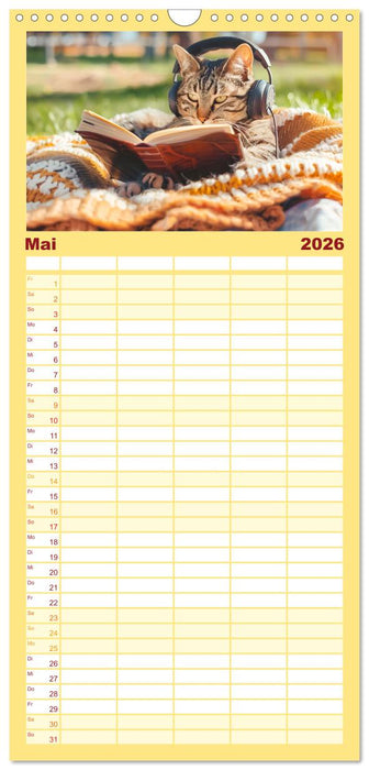 Katzen-Alltag - Ein witziges Jahr mit Kater Tommy (CALVENDO Familienplaner 2026)
