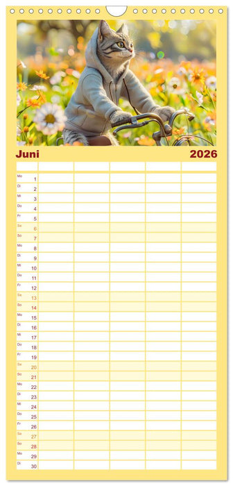 Katzen-Alltag - Ein witziges Jahr mit Kater Tommy (CALVENDO Familienplaner 2026)