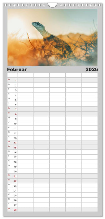 Traumhafte Silhouetten (CALVENDO Familienplaner 2026)