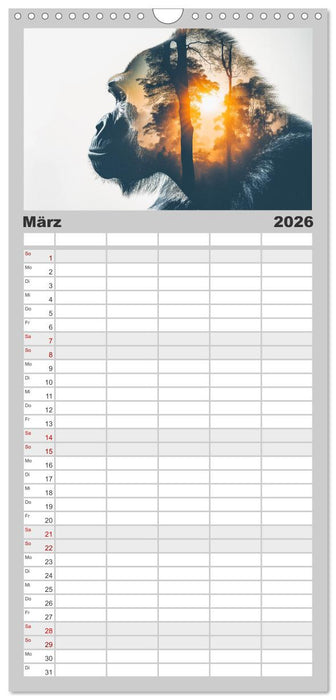 Traumhafte Silhouetten (CALVENDO Familienplaner 2026)