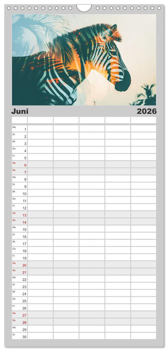 Traumhafte Silhouetten (CALVENDO Familienplaner 2026)