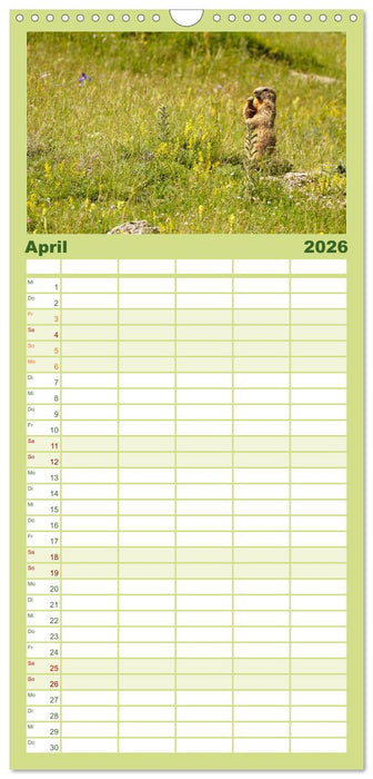 Spanien - die Pyrenäen (CALVENDO Familienplaner 2026)