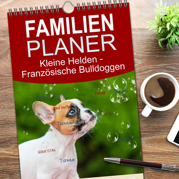 Kleine Helden - Französische Bulldoggen (CALVENDO Familienplaner 2026)
