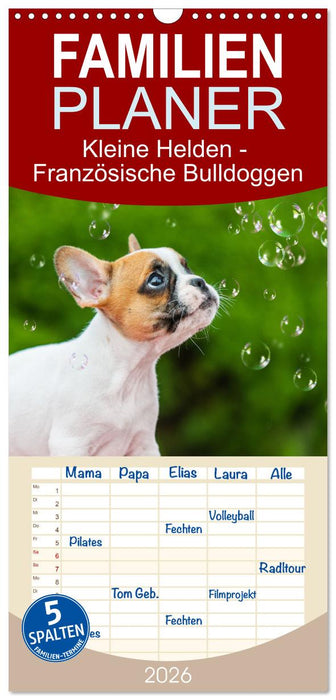 Kleine Helden - Französische Bulldoggen (CALVENDO Familienplaner 2026)