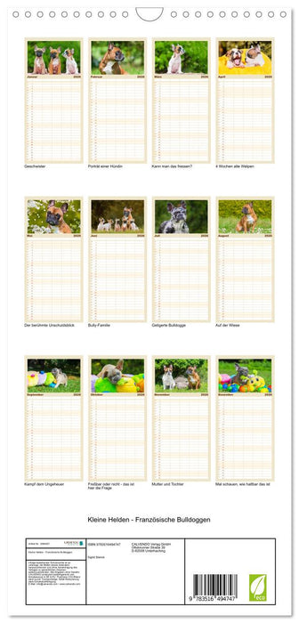 Kleine Helden - Französische Bulldoggen (CALVENDO Familienplaner 2026)