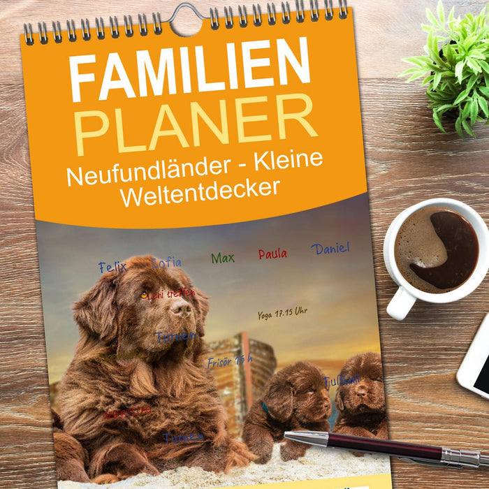 Neufundländer - Kleine Weltentdecker (CALVENDO Familienplaner 2026)