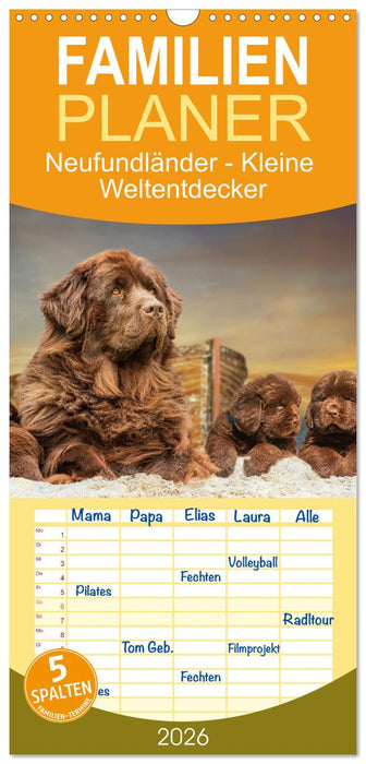 Neufundländer - Kleine Weltentdecker (CALVENDO Familienplaner 2026)