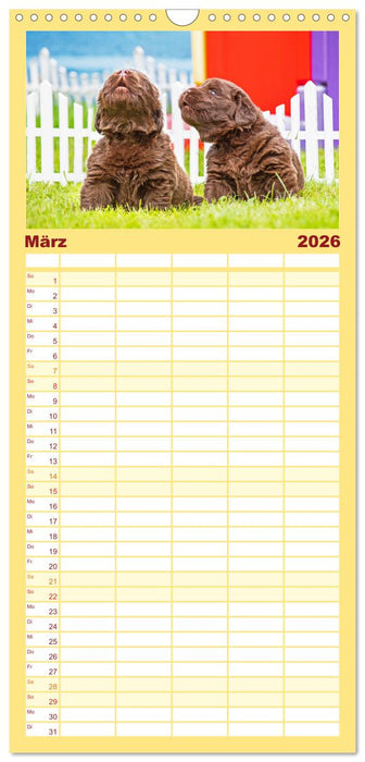 Neufundländer - Kleine Weltentdecker (CALVENDO Familienplaner 2026)