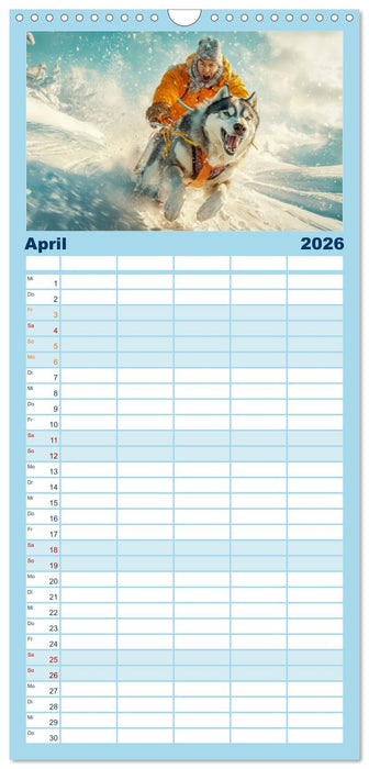 Huskies - Kraft und Anmut (CALVENDO Familienplaner 2026)