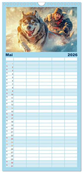 Huskies - Kraft und Anmut (CALVENDO Familienplaner 2026)