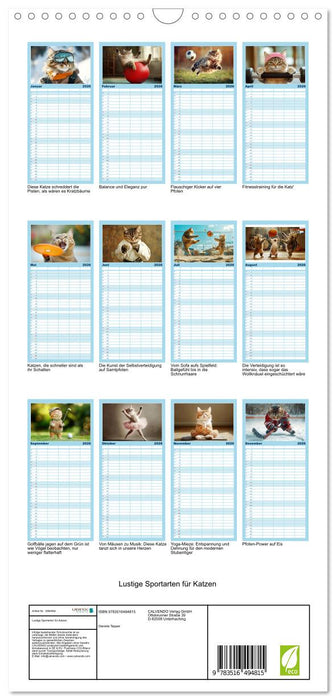 Lustige Sportarten für Katzen (CALVENDO Familienplaner 2026)