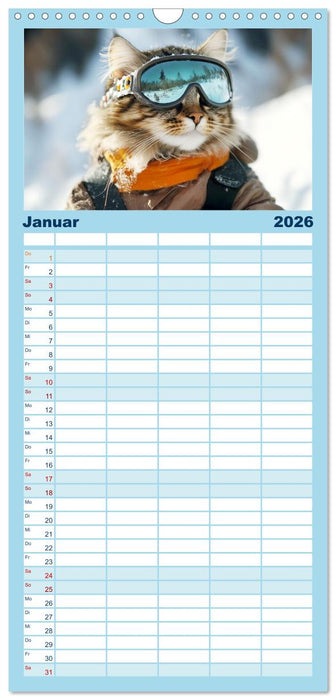 Lustige Sportarten für Katzen (CALVENDO Familienplaner 2026)