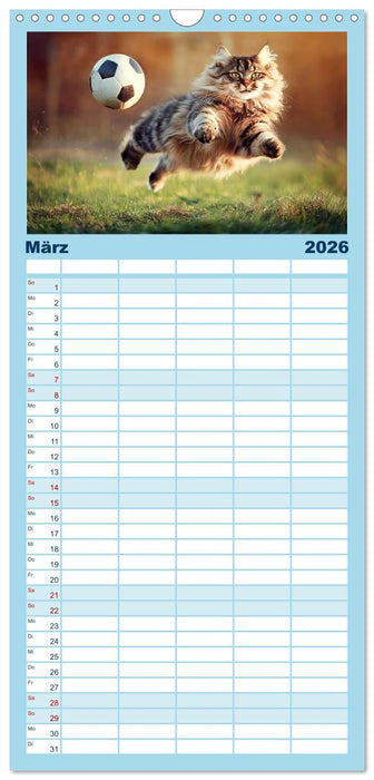Lustige Sportarten für Katzen (CALVENDO Familienplaner 2026)