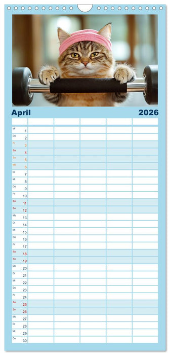 Lustige Sportarten für Katzen (CALVENDO Familienplaner 2026)