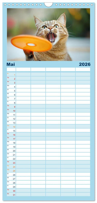 Lustige Sportarten für Katzen (CALVENDO Familienplaner 2026)