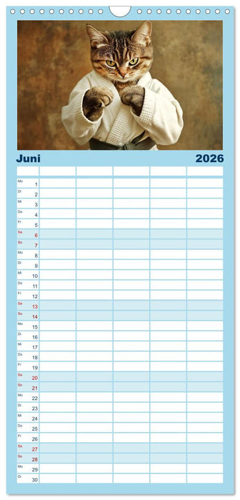 Lustige Sportarten für Katzen (CALVENDO Familienplaner 2026)