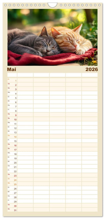 Katzen schaffen Kunst (CALVENDO Familienplaner 2026)