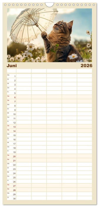 Katzen schaffen Kunst (CALVENDO Familienplaner 2026)
