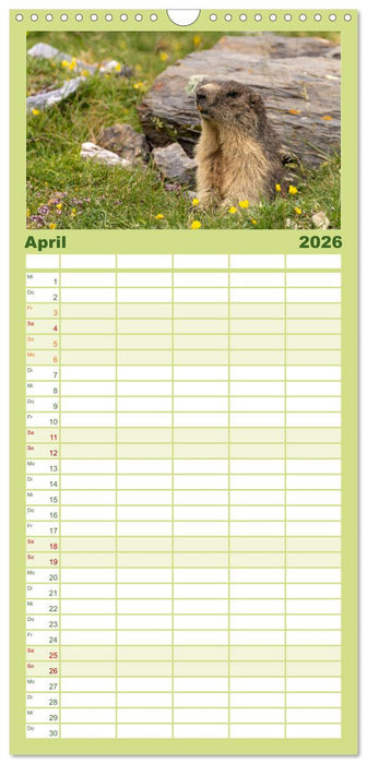 Frankreich - die Pyrenäen (CALVENDO Familienplaner 2026)