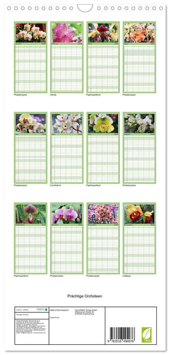 Prächtige Orchideen (CALVENDO Familienplaner 2026)