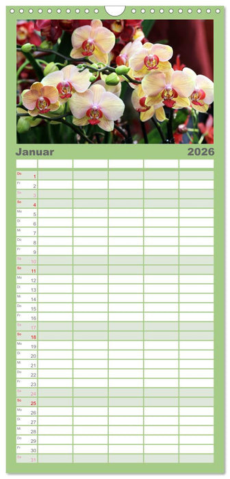 Prächtige Orchideen (CALVENDO Familienplaner 2026)