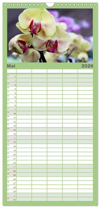 Prächtige Orchideen (CALVENDO Familienplaner 2026)