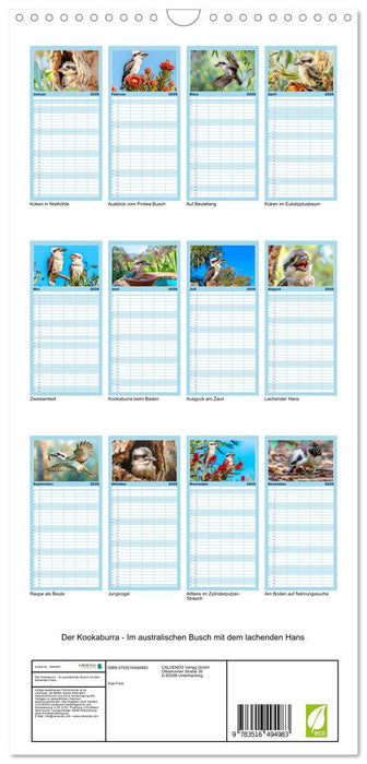 Der Kookaburra - Im australischen Busch mit dem lachenden Hans (CALVENDO Familienplaner 2026)