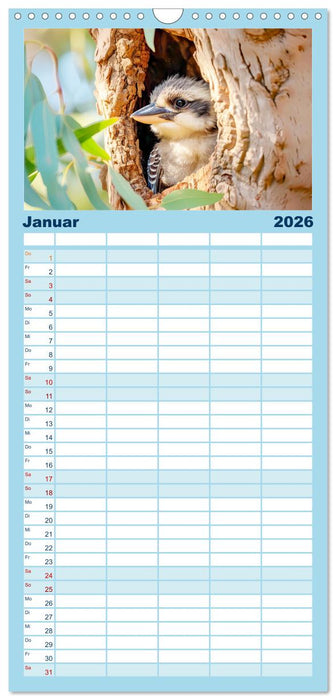 Der Kookaburra - Im australischen Busch mit dem lachenden Hans (CALVENDO Familienplaner 2026)