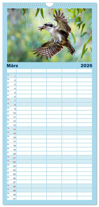 Der Kookaburra - Im australischen Busch mit dem lachenden Hans (CALVENDO Familienplaner 2026)