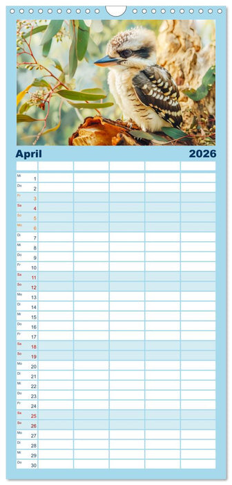Der Kookaburra - Im australischen Busch mit dem lachenden Hans (CALVENDO Familienplaner 2026)