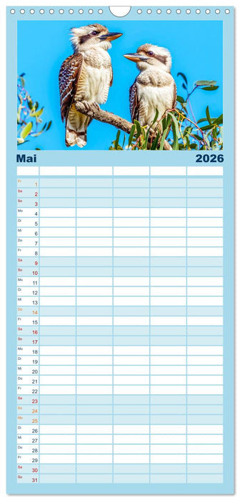 Der Kookaburra - Im australischen Busch mit dem lachenden Hans (CALVENDO Familienplaner 2026)