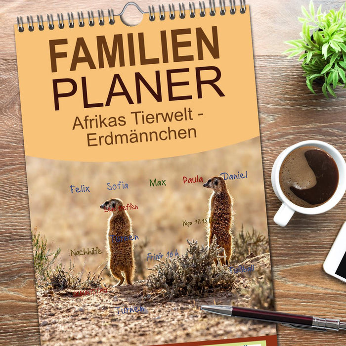 Afrikas Tierwelt - Erdmännchen (CALVENDO Familienplaner 2026)