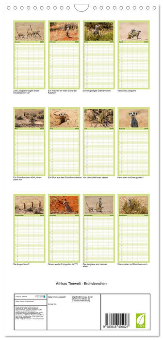 Afrikas Tierwelt - Erdmännchen (CALVENDO Familienplaner 2026)