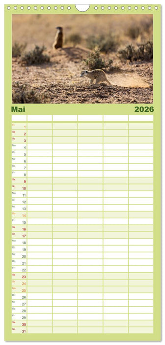 Afrikas Tierwelt - Erdmännchen (CALVENDO Familienplaner 2026)
