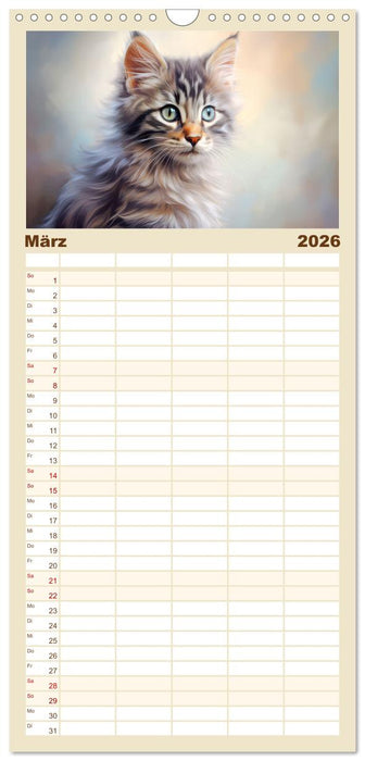Katzen im Pastellstil (CALVENDO Familienplaner 2026)