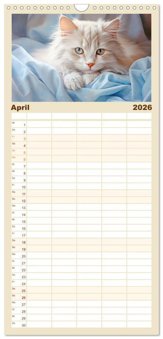 Katzen im Pastellstil (CALVENDO Familienplaner 2026)